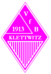 VfB Klettwitz 1913 e.V.-1190206613.png