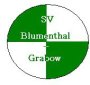 SV Blumenthal/Grabow-1190221117.jpg