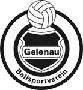 BSV Gelenau-1191434075.gif