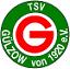 TSV Gülzow von 1920 e.V.-1191868790.jpg