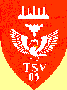 TSV Neumünster von 1905-1192102812.gif