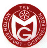 TSV Motor Gispersleben-1193840788.jpg