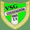 VSG 1960 Cossengrün e.V.-1193938813.jpg