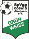 SpVgg Grün-Weiß Coswig e. V.-1198592364.jpg