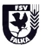 FSV Falka-1198651802.jpg