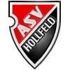 ASV Hollfeld-1214833266.jpg