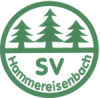 SV Hammereisenbach-1230972583.BMP