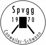 SpVgg Coschwa-1249837186.png