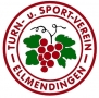 TuS Ellmendingen-1252147710.jpg