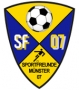 Sportfreunde Münster 07-1254037360.jpg