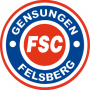 FSC Gensungen-Felsberg-1349632045.png
